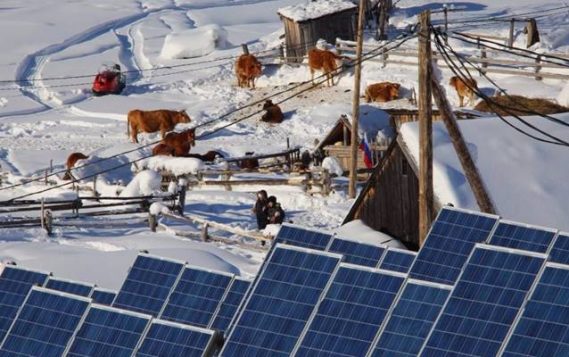 В РФ можно будет получать субсидии на покупку солнечных батарей