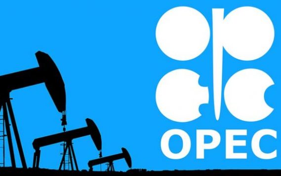 Министры ОПЕК+ оценят план по добыче нефти на январь в условиях нового штамма коронавируса