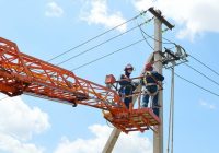 Адыгейский филиал «Россети Кубань» обеспечил электроэнергией более 90 объектов АПК
