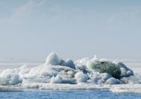 Арктическое Каменномысское-море введут в эксплуатацию в 2028 году