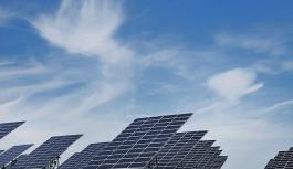 Строительство солнечного парка начнут в 2024 году в Приамурье