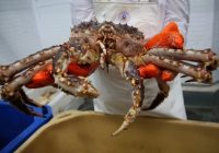 Дальний Восток в этом году посетило на 18% больше туристов