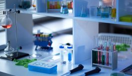 Резидент СПВ разработал не имеющий мировых аналогов продукт для ликвидации нефтеразливов в море в условиях экстремально низких температур