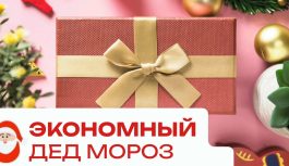 «Экономный Дед Мороз» стал партнёром премии «Женщина — лидер»
